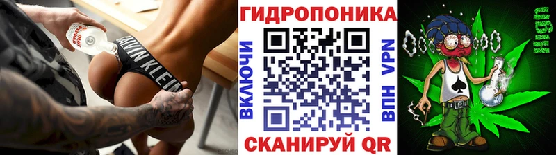 где найти наркотики  Черноголовка  Конопля ГИДРОПОН 